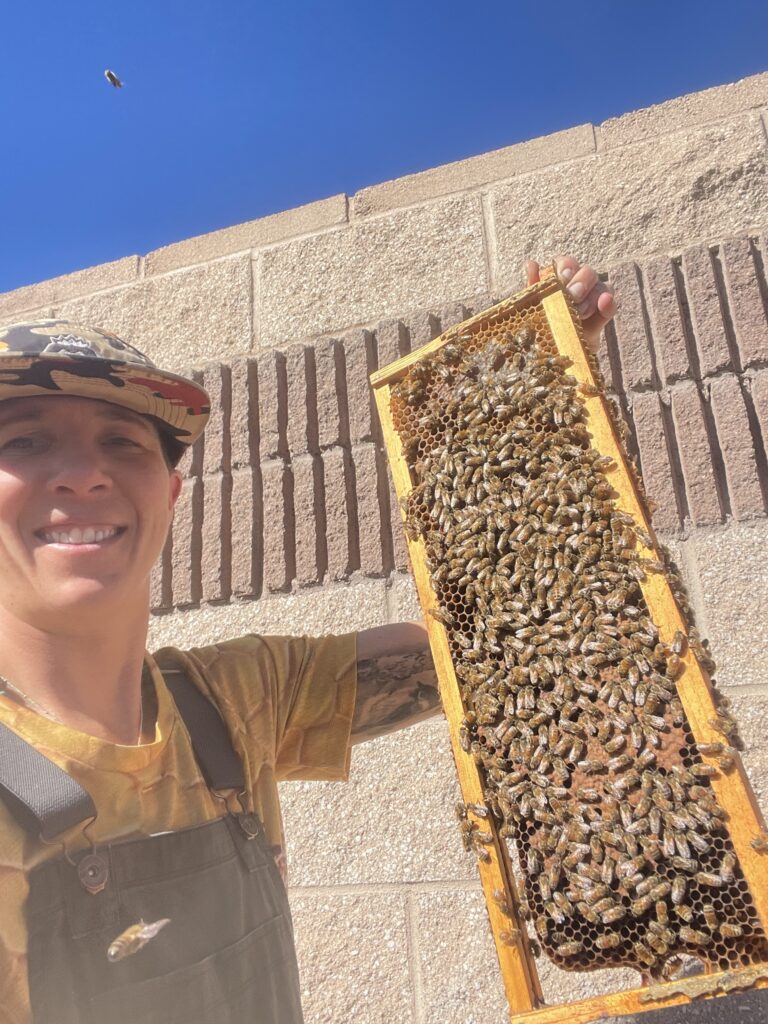 boom beekeeping offers private lessons with honey bees in denver, Colorado and surrounding areas